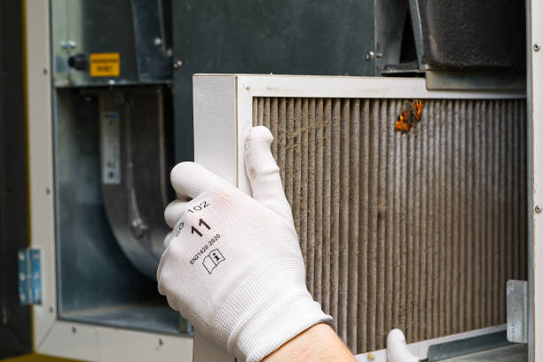 Best Home Air Vent Cleaning  in Johnson, AR
